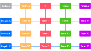 Matrixorganisation